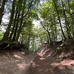 Apartmán Cliff *